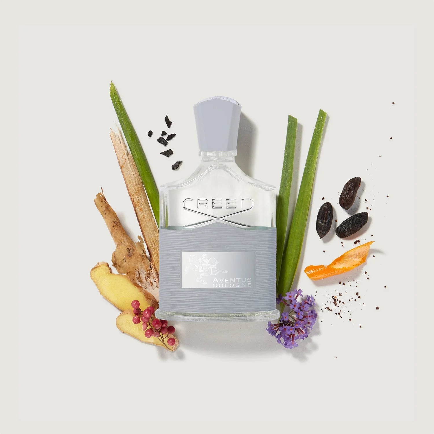 Creed - Aventus Cologne