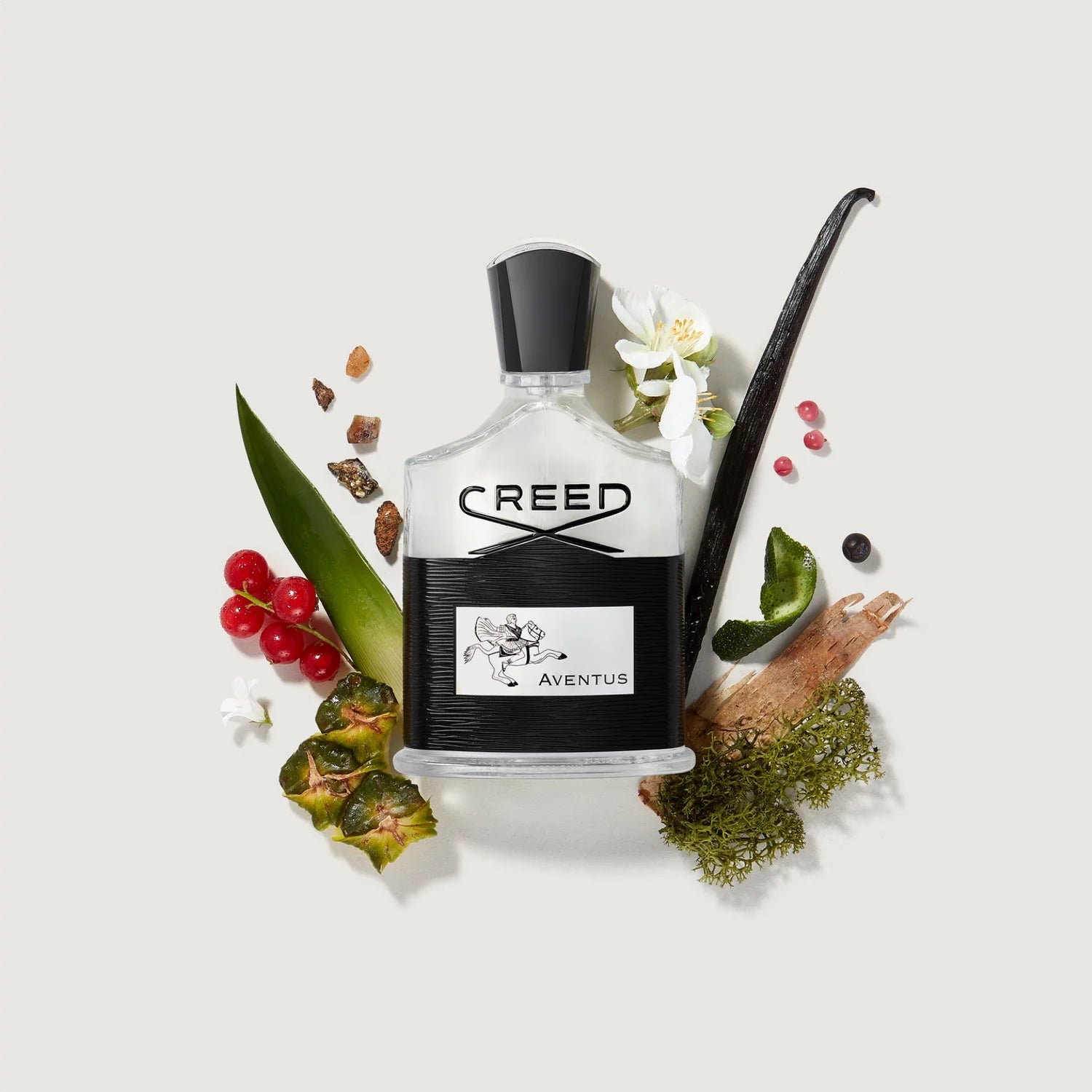 Creed - Aventus