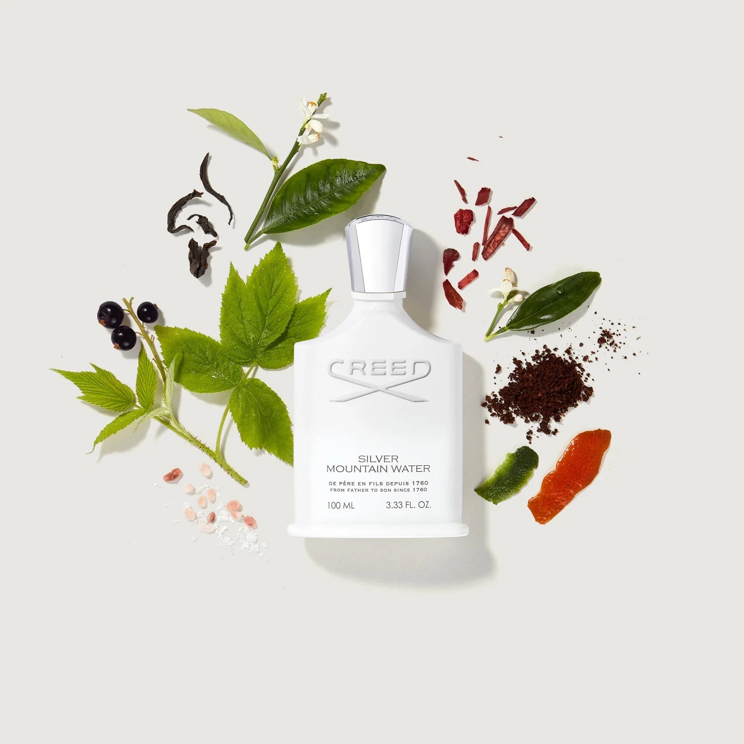 Creed - Silver Mountain Water